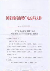 網(wǎng)絡(luò)文化經(jīng)營 新時代的文化產(chǎn)業(yè)機遇與挑戰(zhàn)