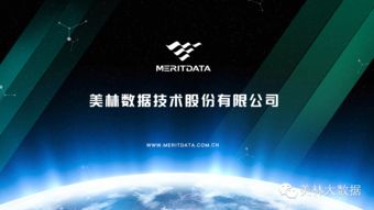 美林?jǐn)?shù)據(jù) 推動數(shù)據(jù)流資產(chǎn)化，構(gòu)建大數(shù)據(jù)生態(tài)鏈