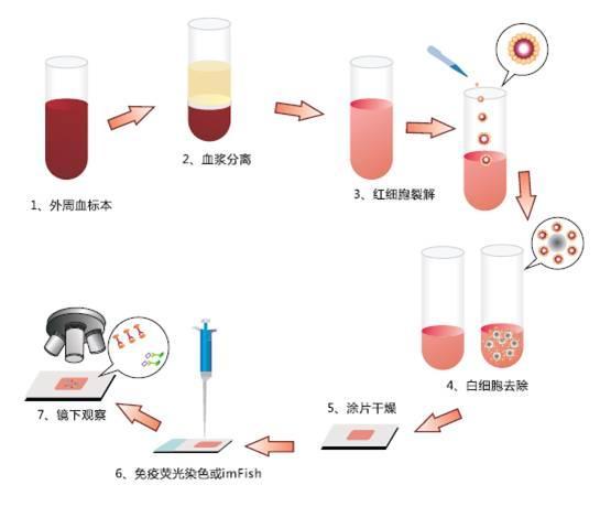 華夏基因創(chuàng)新研發(fā) 腫瘤早篩查的突破——單細(xì)胞轉(zhuǎn)錄組測(cè)序與ctRNA細(xì)胞技術(shù)