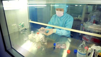 37個(gè)干細(xì)胞臨床項(xiàng)目通過(guò)備案 新生兒臍帶間充質(zhì)干細(xì)胞引領(lǐng)醫(yī)學(xué)新希望